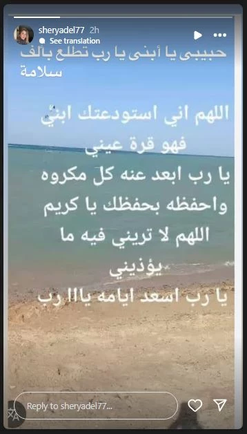 شيري عادل