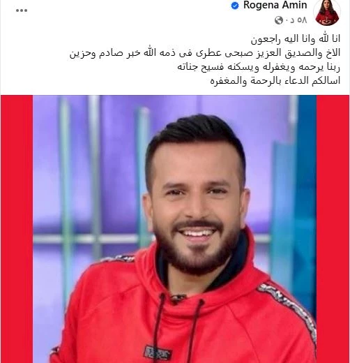 روجينا