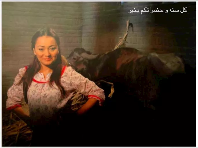 راندا البحيري